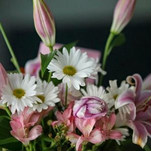 Meet your Posher, Kavita